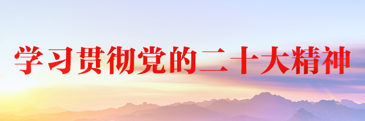 推進新時(shí)代黨的(de)組織工作高質量發展——全國(guó)組織系統認真學習貫徹黨的(de)二十大(dà)精神綜述