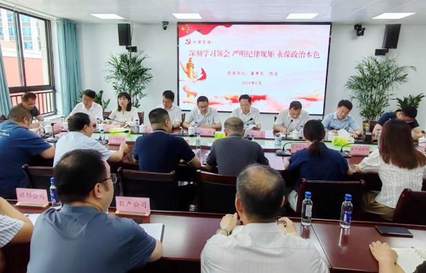 集團黨建丨成都德熙愛汝實業集團股份有限公司：黨委書記上(shàng)專題黨課